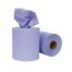 Blue Paper Toweling